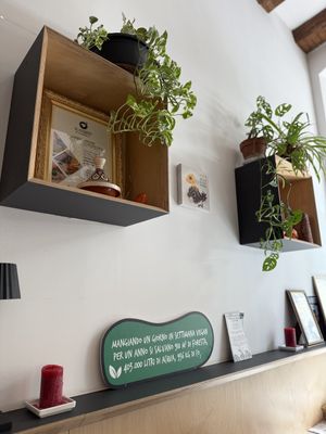   at Black Sheep Raw • Vegan Lab & Bistrot in Trento