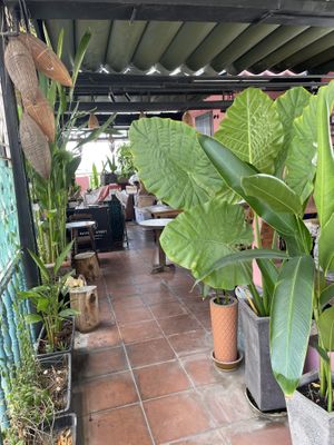   at Pi Vegetarian Bistro in Ho Chi Minh City