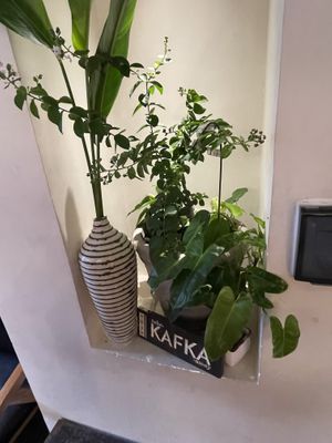   at Pi Vegetarian Bistro in Ho Chi Minh City