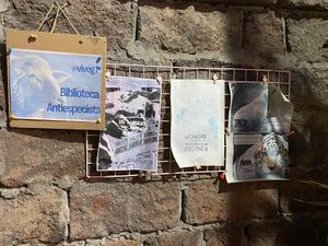 Heck Yeah  at Viveg in Santiago