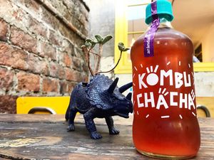 Kombucha Arandano at Viveg in Santiago