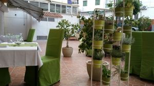Just beautiful at Daniela - Creative Vegan Cuisine in Los Cristianos