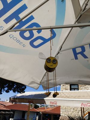 Buzzing about 🐝 at Ice Cream Saloon Clio in Nessebar