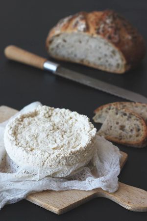 Easy homemade vegan cheese at Végétalise-toi in Paris