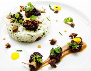 coffe and morrels risotto at Domaine de Broc Fontaine in Brosville