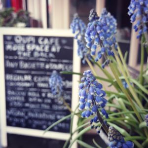 Is it spring yet? at Qupi Cafe and Bistro in Edinburgh