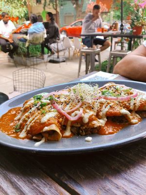 Enchiladas !  at Veguisima in Mexico City