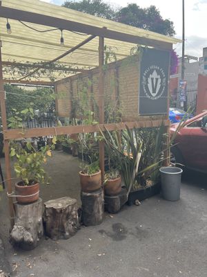 Outside of the seating area  at Veguisima in Mexico City