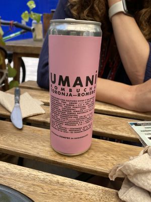 Kombucha Umani  at Veguisima in Mexico City