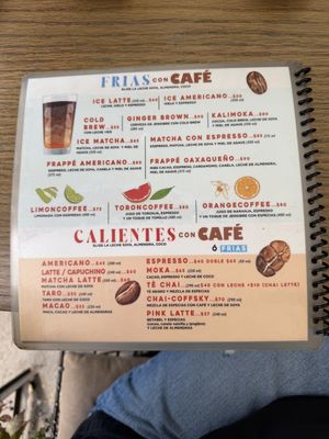 Menu  at Veguisima in Mexico City