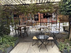 Outdoor seating  at Veguisima in Mexico City