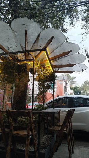 En la tarde at Veguisima in Mexico City