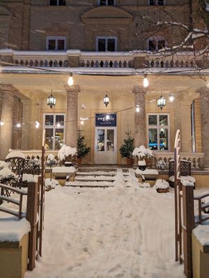  at Veganic in Krakow