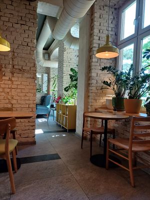  at Veganic in Krakow