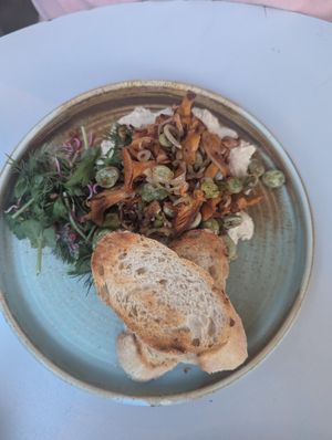 Mushroom at Veganic in Krakow