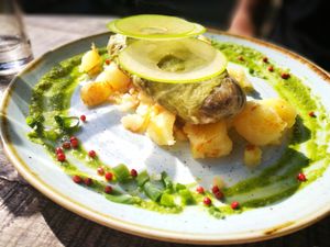 main: stuffed cabbage on a bed of sauted potatoes at Veganic in Krakow