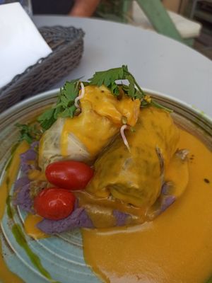 Cabbage rolls at Veganic in Krakow