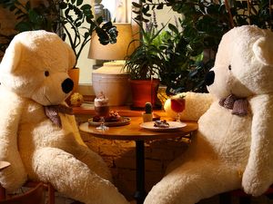  at Veganic in Krakow