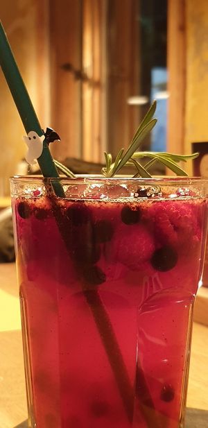 Forest lemonade at Veganic in Krakow