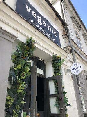 The door  at Veganic in Krakow