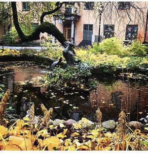   at Ecobaren Centralbadet in Stockholm