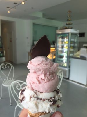 Vegan ice cream  at Sweet Olenka's in Toronto