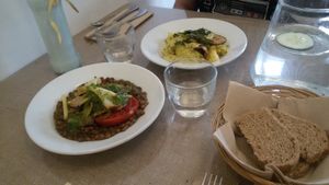 Lentills with grilled tomate, and other vegetables. Seitan with potatoes and vegan cream.  at El Fogon Verde in Madrid