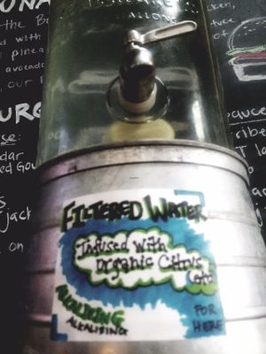 All water is filtered and infused with organic fruits, or cucumbers.  at Big Kahunas in Merrimack