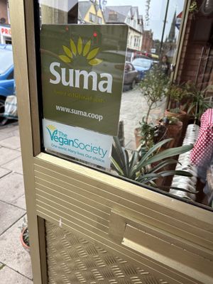   at Planetwise & Yoga Studio in Bridlington