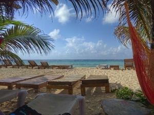 Beach  at Blue Kay in Mahahual