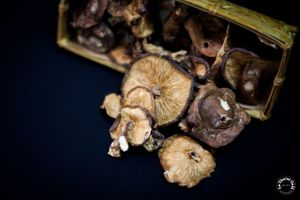 Dried scented mushroom at Le Chalet Cafe in Hanoi