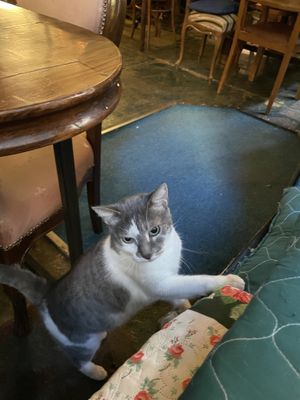   at Mayka in Belgrade