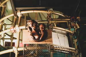 interior at Mayka in Belgrade