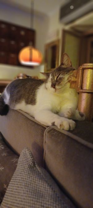  at Mayka in Belgrade