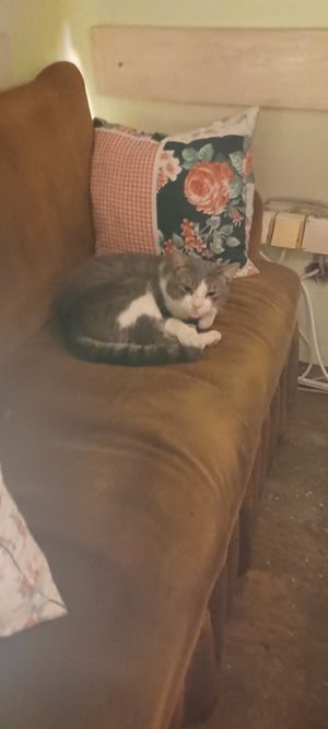  at Mayka in Belgrade