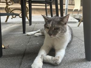   at Mayka in Belgrade