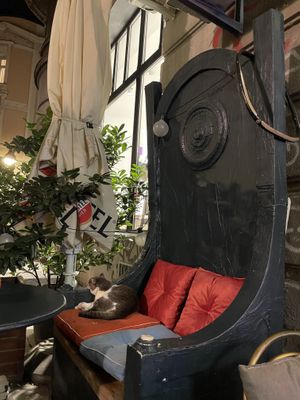   at Mayka in Belgrade