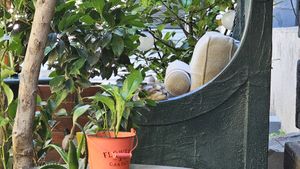  at Mayka in Belgrade