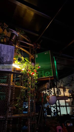  at Mayka in Belgrade