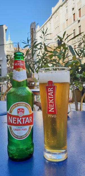 Nektar at Mayka in Belgrade