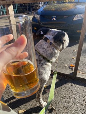 Craft local beer and a patio on the street at UCHU Sushi in Portland