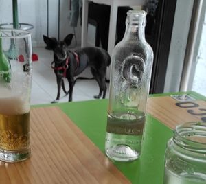 Se aceptan amigos perrunos (L) at Bioloco in Gran Canaria