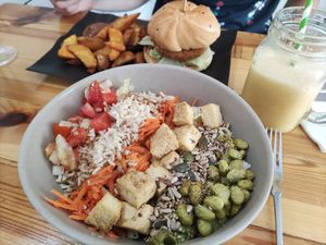  at Bioloco in Gran Canaria