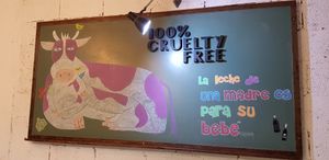 Inside at Bioloco in Gran Canaria