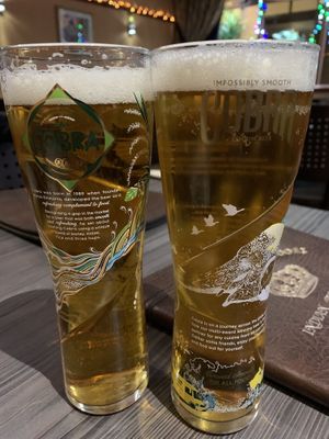 Cobra  at Raj Tandoori in Newcastle Upon Tyne