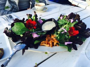 the most delectable salad ever with vegan herb aioli at Hornuddens Tradgard in Straengnaes