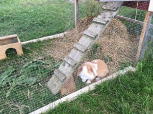 entertainment for kids # 2 at Hornuddens Tradgard in Straengnaes