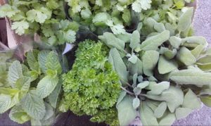  at Au Nid Nature in Samoens