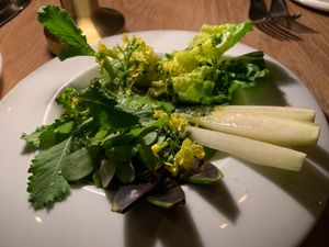 Yellow, Potts Point at Yellow in Sydney