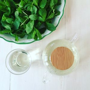 Fresh mint tea  at Sprout Health Foods in Newquay